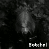 Botchal