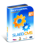 C��������� ������  SLAED CMS 4.1 Pro