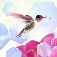 Sitemap XML Карта сайта SEO инструмент SLAED Sitemap XML Карта сайта SEO инструмент SLAED